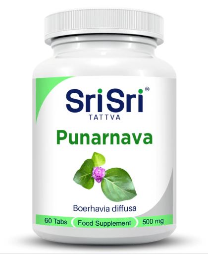 Punarnava - Kidney & Skincare