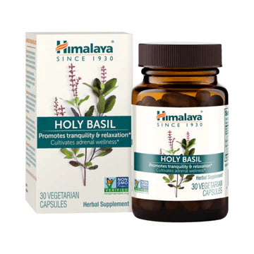 Holy Basil - Respiratory Support
