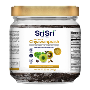 Premium Chyawanprash - 500g - TheVedicStore.com