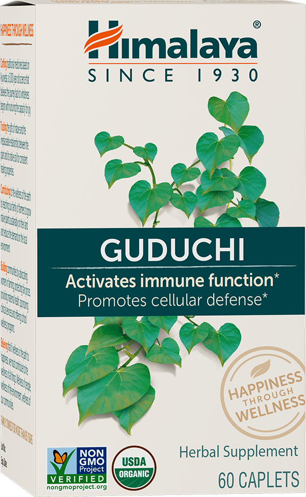 Guduchi - Immunomodulator