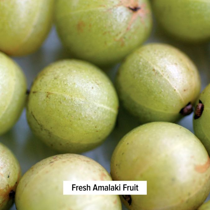 Banyan Botanicals Amla (Amalaki) powder