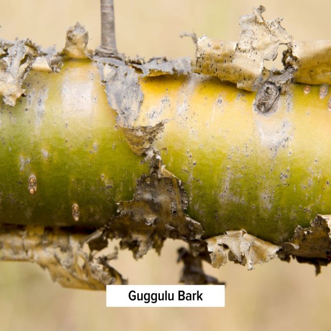 Banyan Botanicals Gokshuradi Guggulu tablets