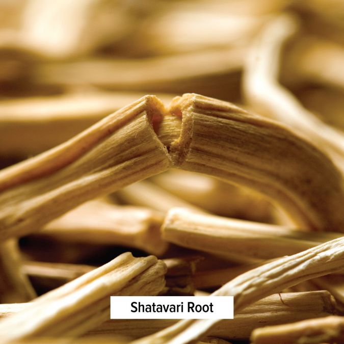 Banyan Botanicals Shatavari powder