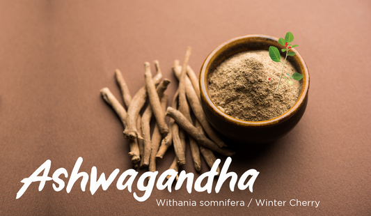Ashwagandha Herbs