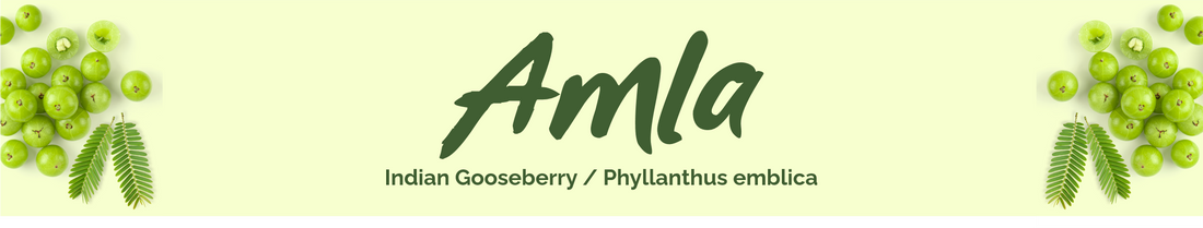 Amla Herb