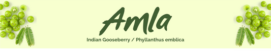 Amla Herb
