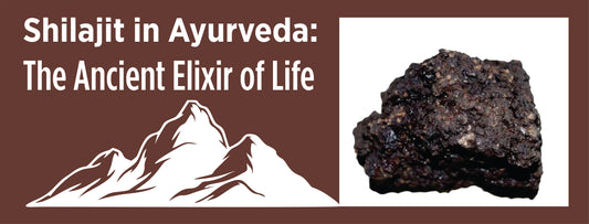 Shilajit in Ayurveda