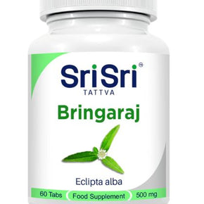 Bhringraj (Eclipta Prostrata) - Hair & Senses