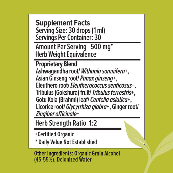 Banyan Botanicals 7-Herb Energy Liquid Extract - The Vedic Store