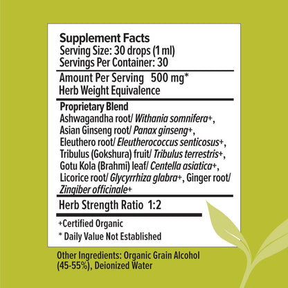 Banyan Botanicals 7-Herb Energy Liquid Extract - The Vedic Store