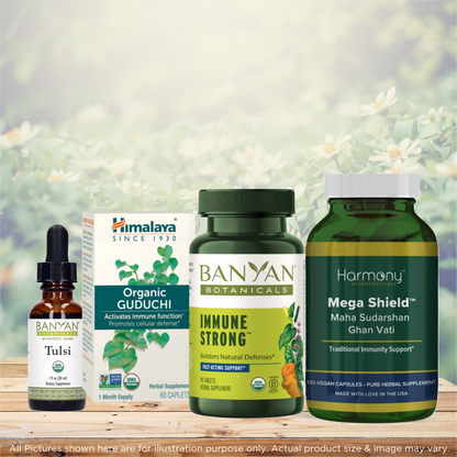 Healthy Immunity Bundle