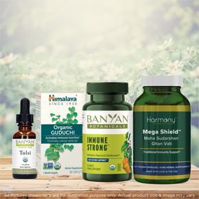 Healthy Immunity Bundle