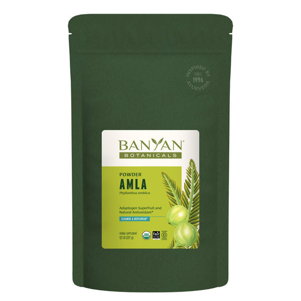 Banyan Botanicals Amla (Amalaki) powder - The Vedic Store