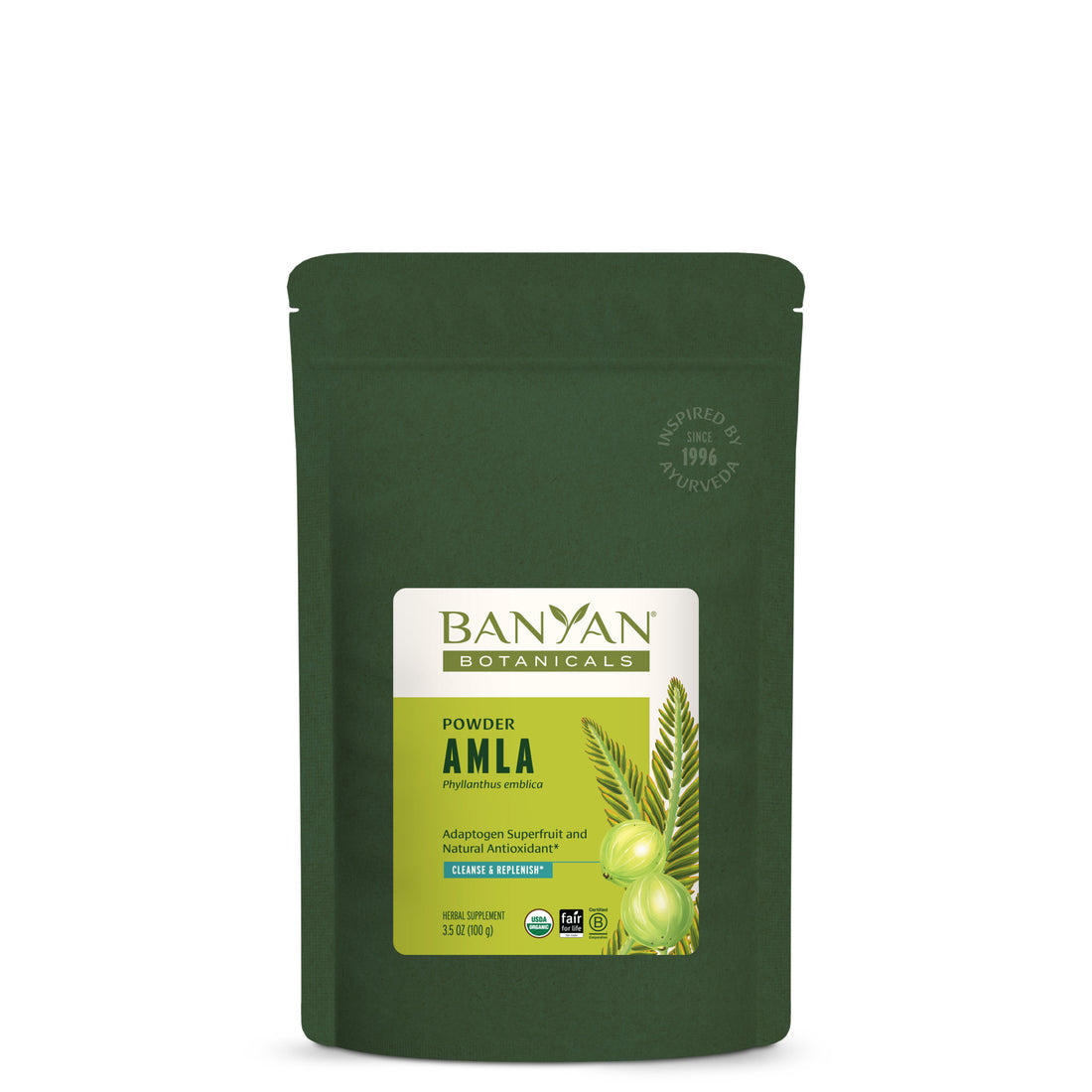 Banyan Botanicals Amla (Amalaki) powder - The Vedic Store