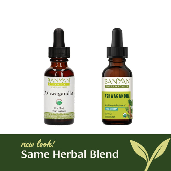 Banyan Botanicals Ashwagandha liquid extract - The Vedic Store