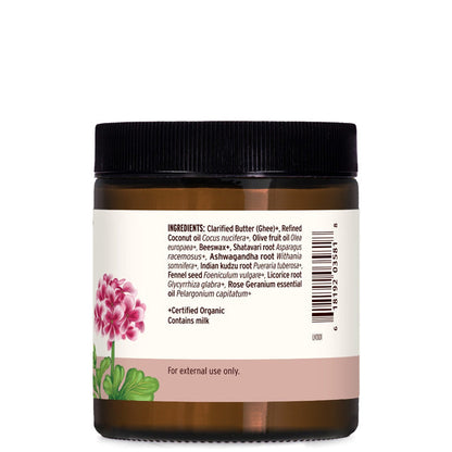 Banyan Botanicals Beauty Balm - The Vedic Store