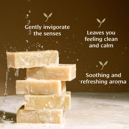Banyan Botanicals Cedar Eucalyptus Soap - The Vedic Store