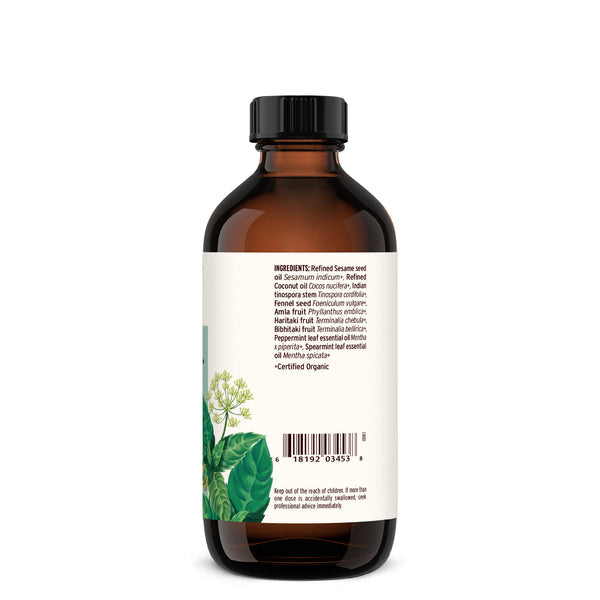 Banyan Botanicals Daily Swish - Mint - The Vedic Store