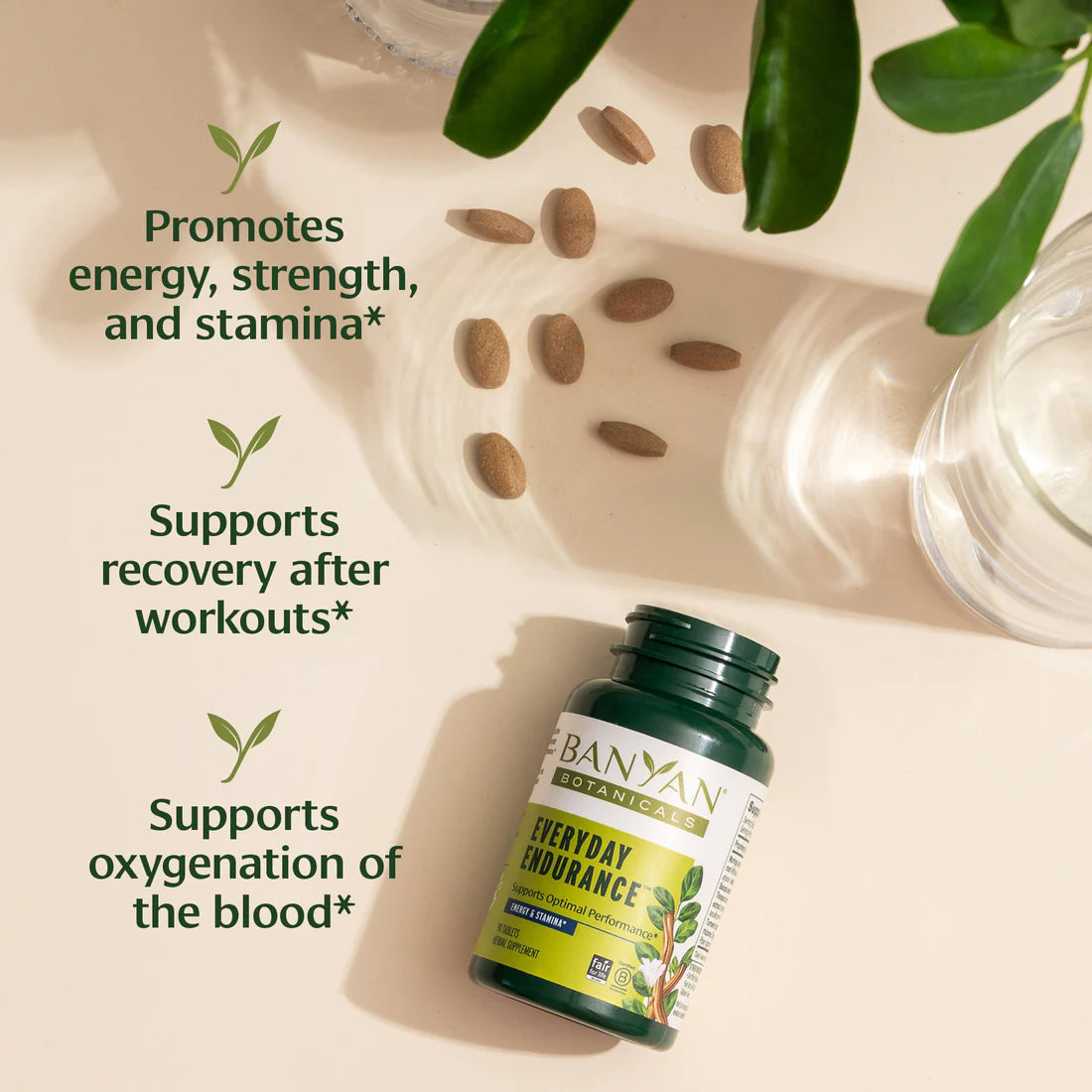 Banyan Botanicals Everyday Endurance