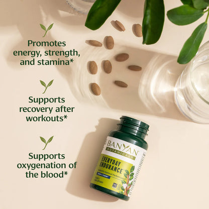 Banyan Botanicals Everyday Endurance