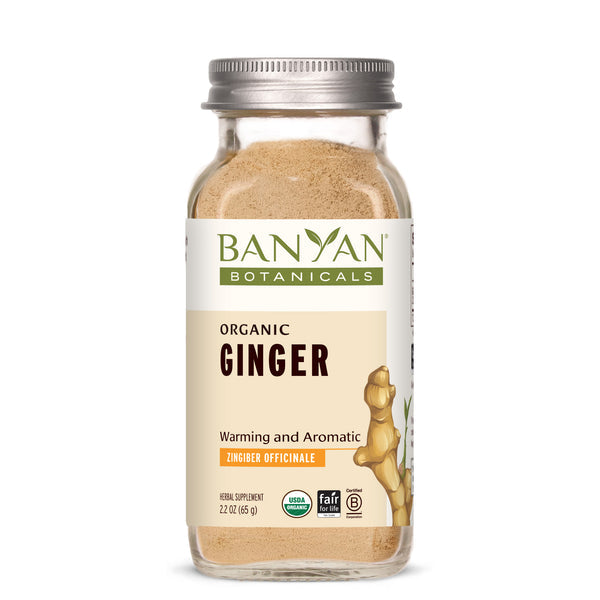 Banyan Botanicals Ginger powder - The Vedic Store