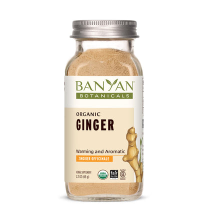 Banyan Botanicals Ginger powder - The Vedic Store