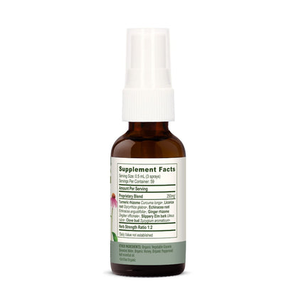 Banyan Botanicals Throat Soother Spray (1 fl oz) - The Vedic Store