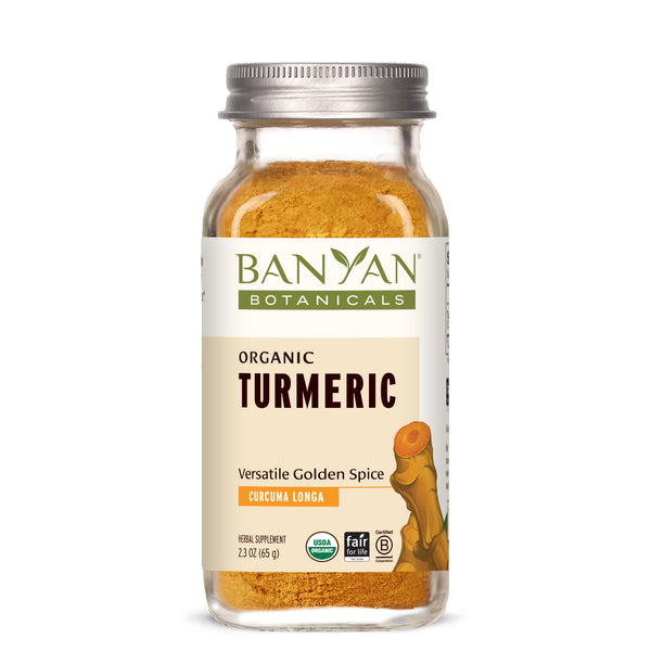 Banyan Botanicals Turmeric powder - The Vedic Store