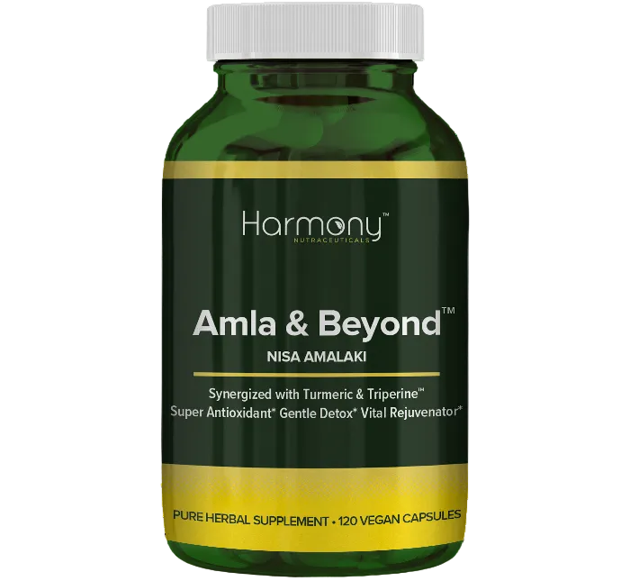 Amla & Beyond (Nisa Amalaki) - TheVedicStore.com