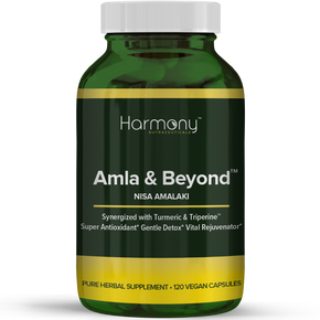 Amla & Beyond (Nisa Amalaki) - TheVedicStore.com