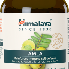 Amla - Natural Antioxidant - TheVedicStore.com