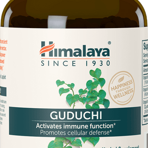 Guduchi - Immunomodulator - TheVedicStore.com