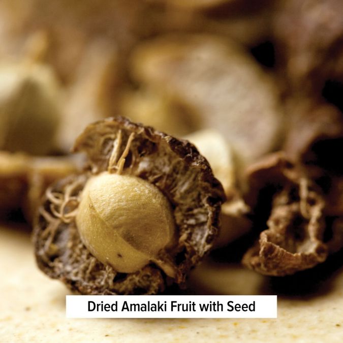 Amalaki - TheVedicStore.com