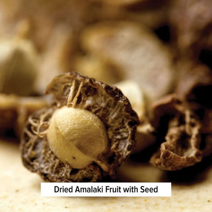 Amalaki - TheVedicStore.com