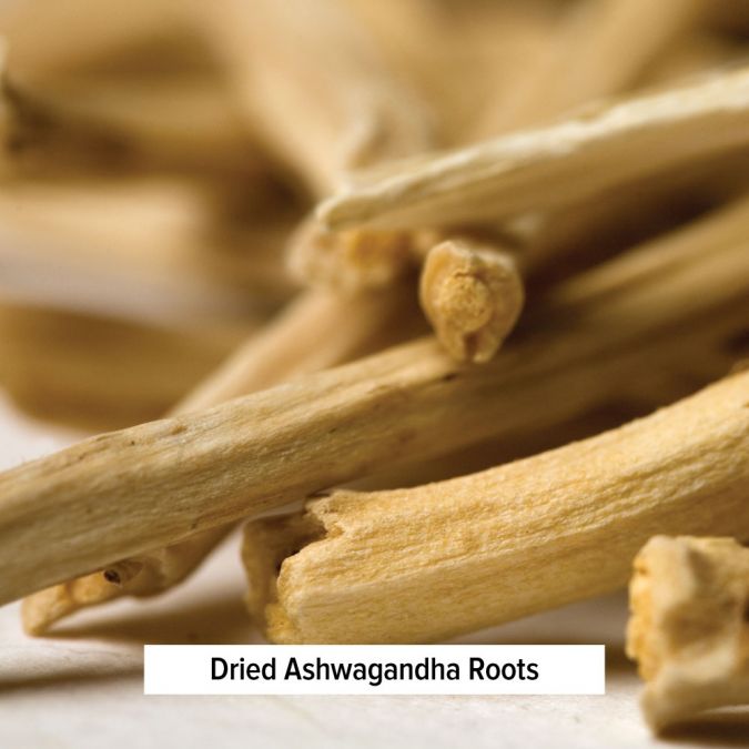 Ashwagandha - TheVedicStore.com