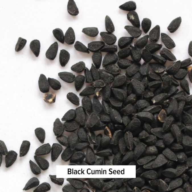 Vata Digest - TheVedicStore.com