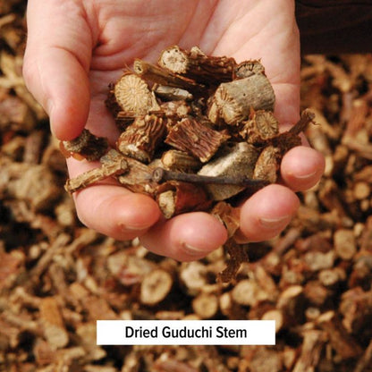 Kidney Formula - TheVedicStore.com