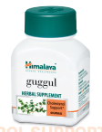 Guggul Capsules 60's - TheVedicStore.com
