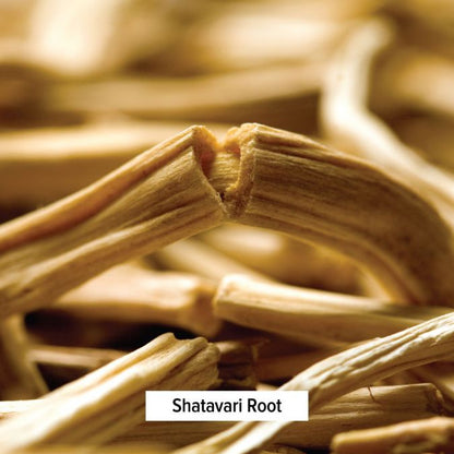 Shatavari - TheVedicStore.com